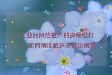B2B工業(yè)品網絡推廣的決策鏈打法，如何精準觸達關鍵決策者
