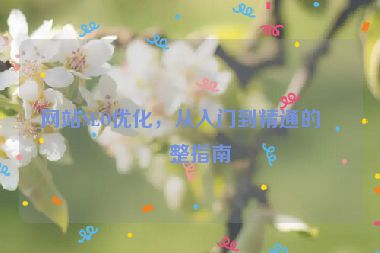 網(wǎng)站SEO優(yōu)化，從入門到精通的完整指南