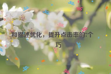 和描述優(yōu)化，提升點擊率的7個技巧