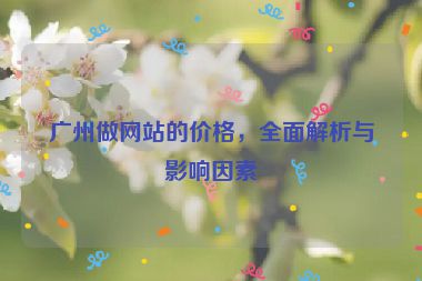 廣州做網(wǎng)站的價格，全面解析與影響因素