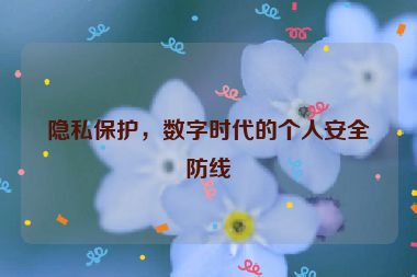 隱私保護(hù)，數(shù)字時(shí)代的個(gè)人安全防線