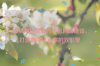 深圳網(wǎng)站建設(shè)與手機(jī)網(wǎng)站建設(shè)，打造數(shù)字化未來的雙引擎