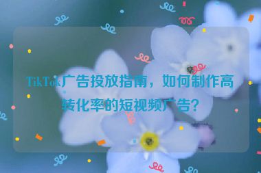 TikTok廣告投放指南，如何制作高轉(zhuǎn)化率的短視頻廣告？