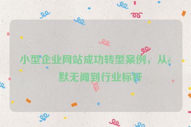 小型企業(yè)網(wǎng)站成功轉(zhuǎn)型案例，從默默無聞到行業(yè)標(biāo)桿