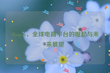 Shopify，全球電商平臺(tái)的崛起與未來展望