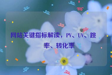 網(wǎng)站關(guān)鍵指標(biāo)解讀，PV、UV、跳出率、轉(zhuǎn)化率