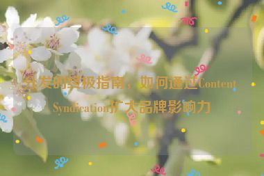 分發(fā)的終極指南，如何通過Content Syndication擴大品牌影響力