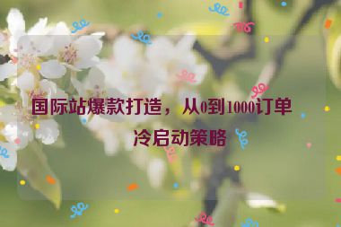 國際站爆款打造，從0到1000訂單的冷啟動(dòng)策略
