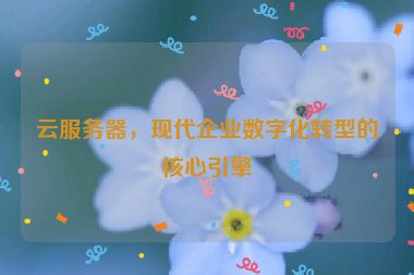 云服務(wù)器，現(xiàn)代企業(yè)數(shù)字化轉(zhuǎn)型的核心引擎