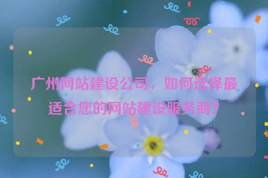 廣州網(wǎng)站建設(shè)公司，如何選擇最適合您的網(wǎng)站建設(shè)服務(wù)商？