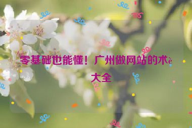 零基礎(chǔ)也能懂！廣州做網(wǎng)站的術(shù)語大全