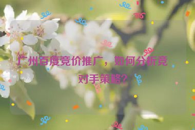 廣州百度競(jìng)價(jià)推廣，如何分析競(jìng)爭(zhēng)對(duì)手策略？