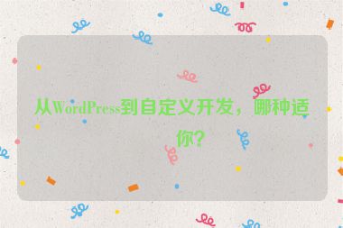 從WordPress到自定義開發(fā)，哪種適合你？