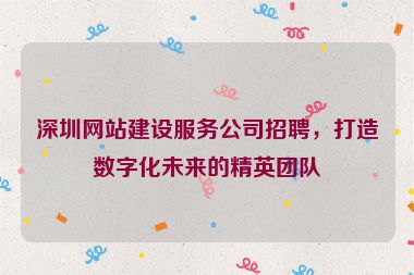 深圳網(wǎng)站建設(shè)服務(wù)公司招聘，打造數(shù)字化未來的精英團(tuán)隊(duì)
