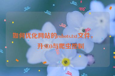 如何優(yōu)化網(wǎng)站的robots.txt文件，提升SEO與爬蟲控制