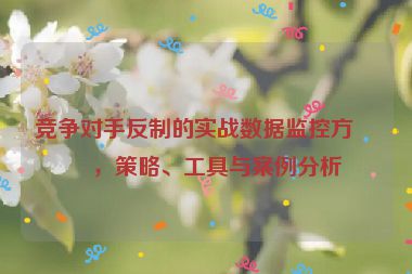 競爭對手反制的實戰(zhàn)數據監(jiān)控方案，策略、工具與案例分析