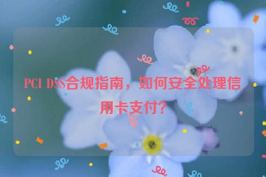 PCI DSS合規(guī)指南，如何安全處理信用卡支付？