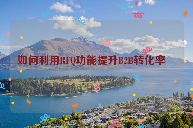 如何利用RFQ功能提升B2B轉(zhuǎn)化率？