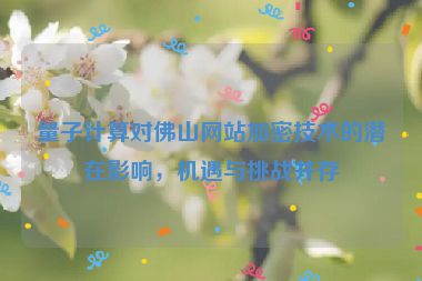 量子計(jì)算對(duì)佛山網(wǎng)站加密技術(shù)的潛在影響，機(jī)遇與挑戰(zhàn)并存