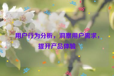 用戶行為分析，洞察用戶需求，提升產(chǎn)品體驗(yàn)