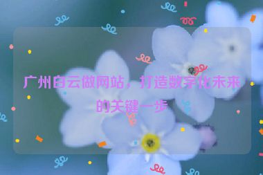 廣州白云做網(wǎng)站，打造數(shù)字化未來的關(guān)鍵一步