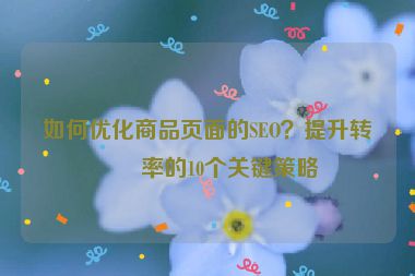 如何優(yōu)化商品頁(yè)面的SEO？提升轉(zhuǎn)化率的10個(gè)關(guān)鍵策略