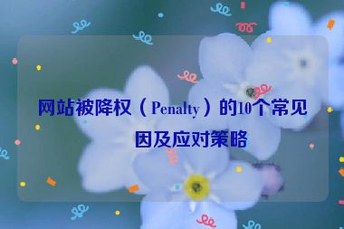 網(wǎng)站被降權(quán)（Penalty）的10個(gè)常見(jiàn)原因及應(yīng)對(duì)策略