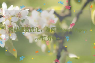 網(wǎng)站速度優(yōu)化，如何讓Google Pagespeed評分90+