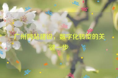 廣州網(wǎng)站建設(shè)，數(shù)字化轉(zhuǎn)型的關(guān)鍵一步