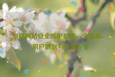 電商網(wǎng)站安全防護措施，全面保障用戶數(shù)據(jù)與交易安全