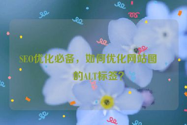 SEO優(yōu)化必備，如何優(yōu)化網(wǎng)站圖片的ALT標(biāo)簽？