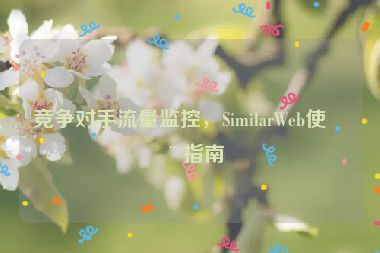 競爭對手流量監(jiān)控，SimilarWeb使用指南