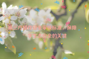 第三方插件安全審核標(biāo)準(zhǔn)，保障數(shù)字生態(tài)安全的關(guān)鍵