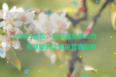 API接口監(jiān)控，如何避免第三方服務(wù)故障對(duì)企業(yè)運(yùn)營(yíng)的影響