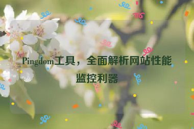 Pingdom工具，全面解析網(wǎng)站性能監(jiān)控利器