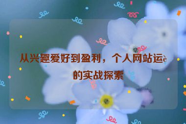 從興趣愛好到盈利，個(gè)人網(wǎng)站運(yùn)營的實(shí)戰(zhàn)探索