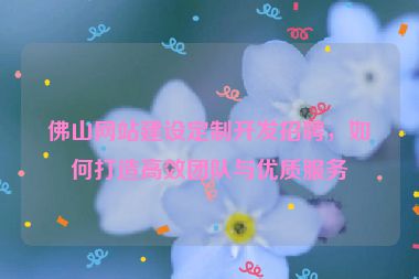 佛山網(wǎng)站建設(shè)定制開發(fā)招聘，如何打造高效團隊與優(yōu)質(zhì)服務(wù)
