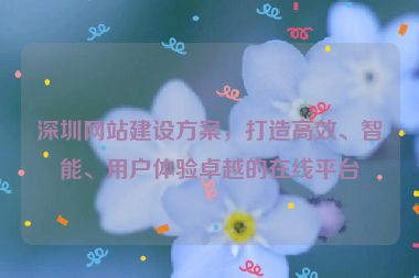 深圳網(wǎng)站建設(shè)方案，打造高效、智能、用戶體驗卓越的在線平臺