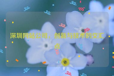 深圳網(wǎng)站公司，創(chuàng)新與技術(shù)的交匯點