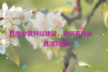 直播電商網(wǎng)站建設(shè)，如何高效嵌入直播功能？