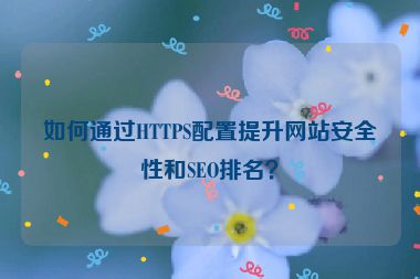 如何通過HTTPS配置提升網(wǎng)站安全性和SEO排名？