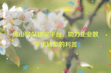 佛山網(wǎng)站建設(shè)平臺(tái)，助力企業(yè)數(shù)字化轉(zhuǎn)型的利器
