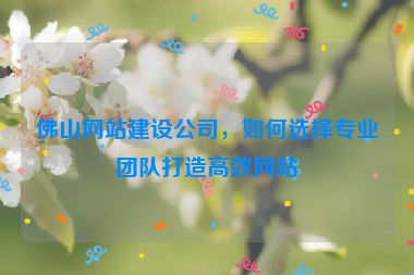 佛山網(wǎng)站建設(shè)公司，如何選擇專業(yè)團隊打造高效網(wǎng)站