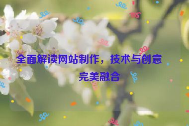 全面解讀網(wǎng)站制作，技術(shù)與創(chuàng)意的完美融合