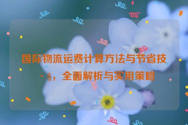 國際物流運費計算方法與節(jié)省技巧，全面解析與實用策略