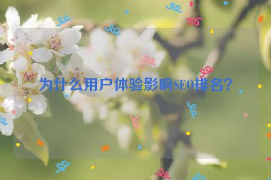 為什么用戶體驗影響SEO排名？