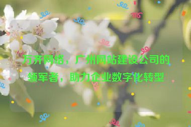 萬齊網(wǎng)絡(luò)，廣州網(wǎng)站建設(shè)公司的領(lǐng)軍者，助力企業(yè)數(shù)字化轉(zhuǎn)型