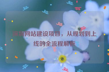 深圳網(wǎng)站建設(shè)項(xiàng)目，從規(guī)劃到上線的全流程解析