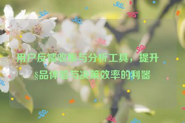 用戶反饋收集與分析工具，提升產(chǎn)品體驗(yàn)與決策效率的利器