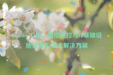 Paessler工具，網(wǎng)絡(luò)監(jiān)控與IT基礎(chǔ)設(shè)施管理的強(qiáng)大解決方案